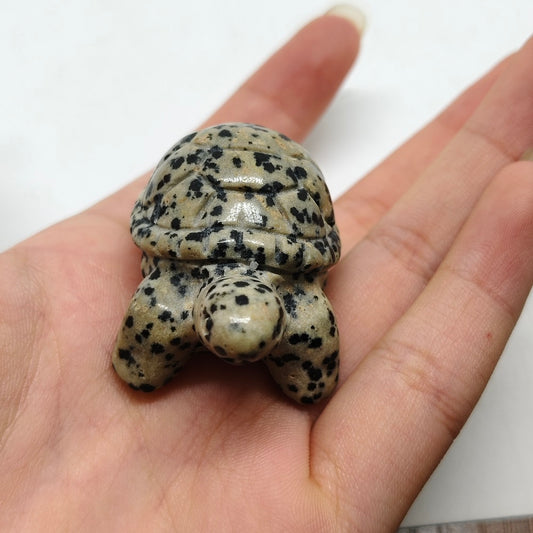 spotted stone turtle carving ornaments healing 32g