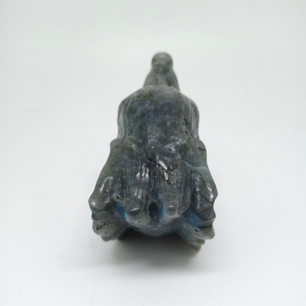 364.6g natural labradorite dragon head carving ornaments healing