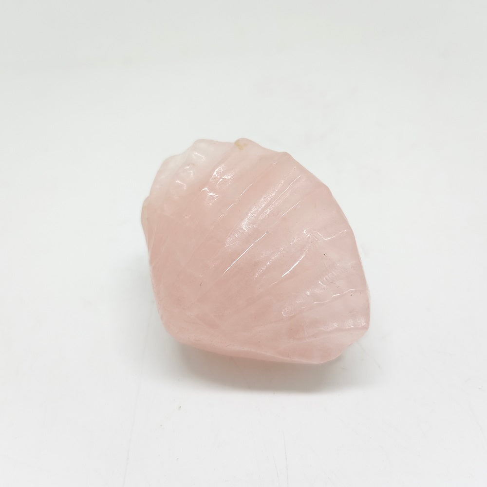 77.4g natural rose quartz clam shell carving ornaments healing