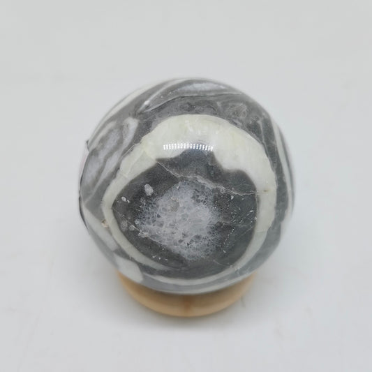 natural shell jasper sphere ornaments healing 203g
