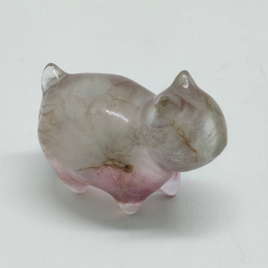 fluorite cat carving ornaments healing 61.7g