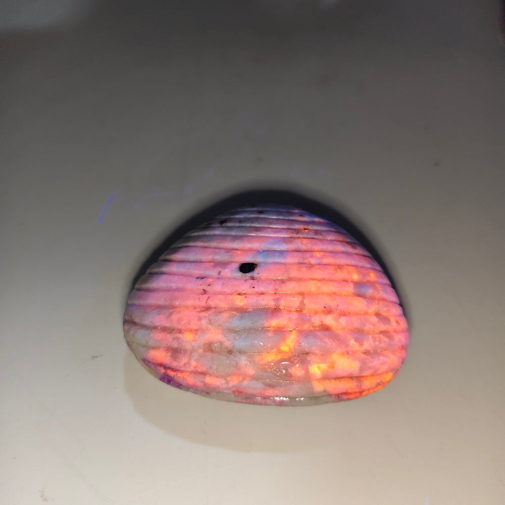 purple sodalite shell carving ornaments healing 129.5g